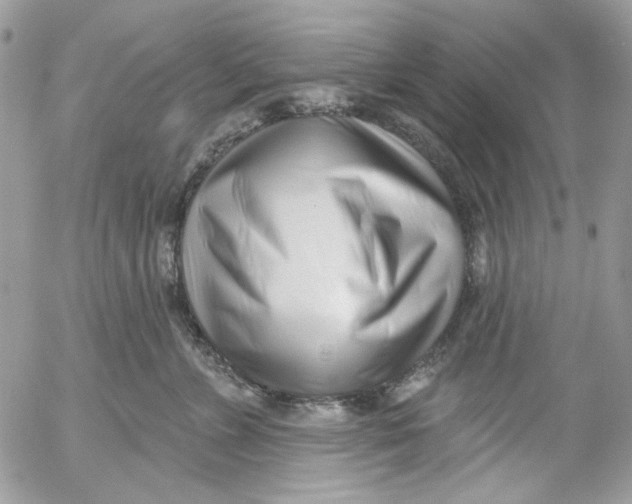 X0000052540715200507221426