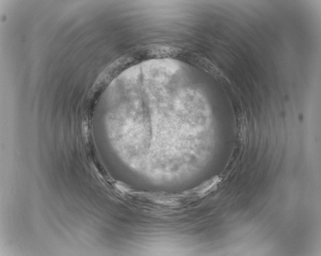 X0000052540716200507221426