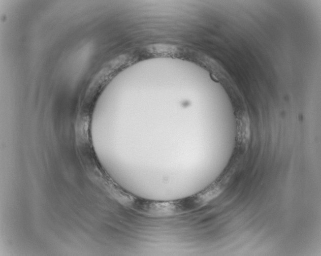 X0000052540717200507221425