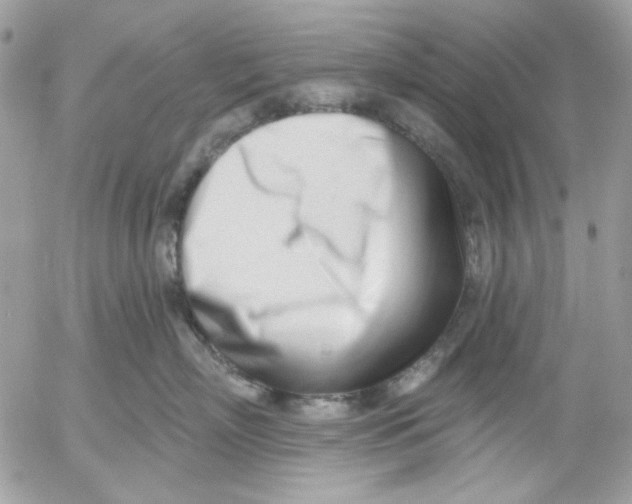 X0000052540718200507221425