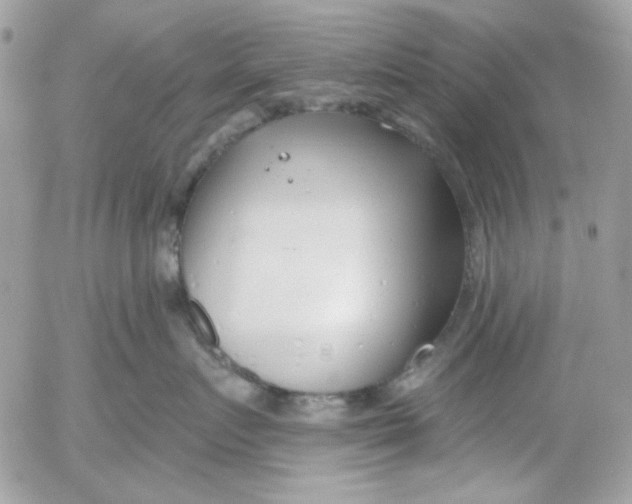 X0000052540719200507221425