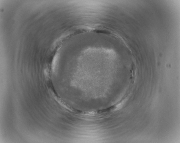 X0000052540720200507221425