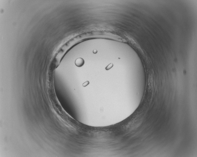 X0000052540722200507221425