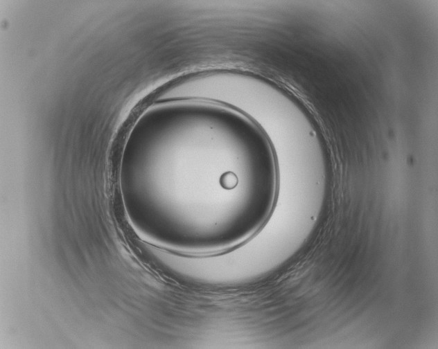 X0000052540724200507221425