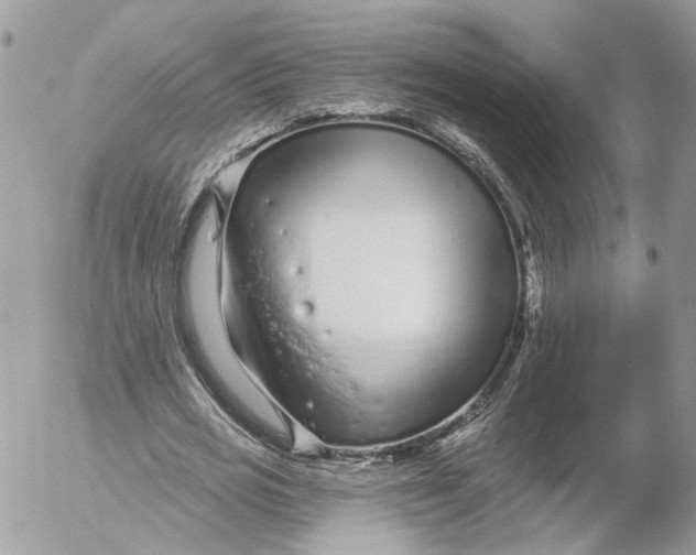 X0000052540725200507221425