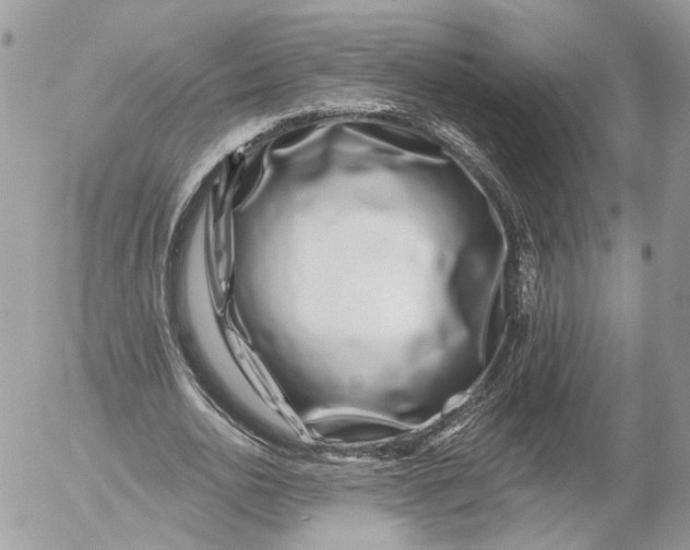 X0000052540726200507221425