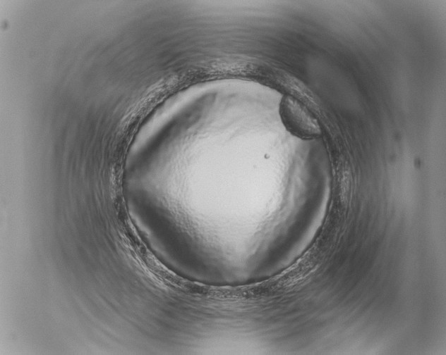 X0000052540729200507221425