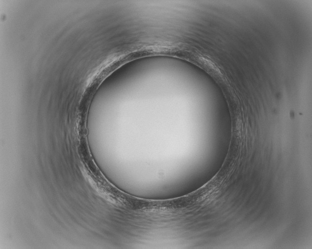 X0000052540730200507221425