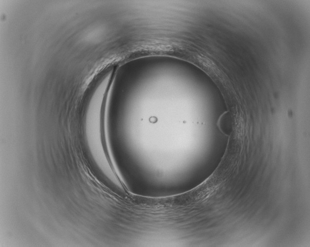 X0000052540731200507221425