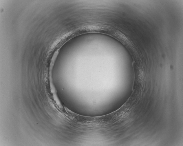 X0000052540732200507221425