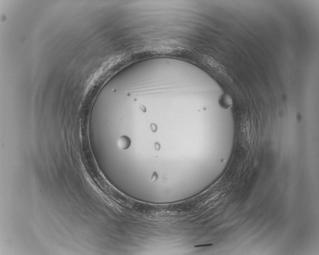 X0000052540734200507221425