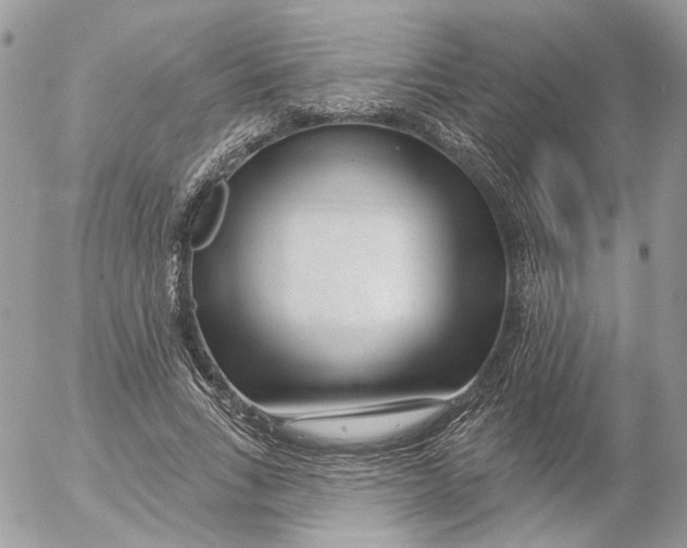 X0000052540735200507221425