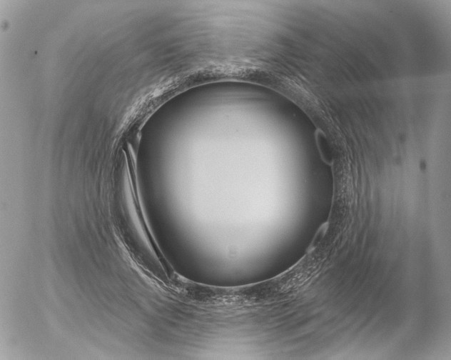 X0000052540736200507221425