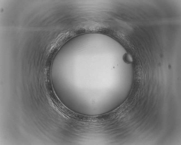 X0000052540738200507221425