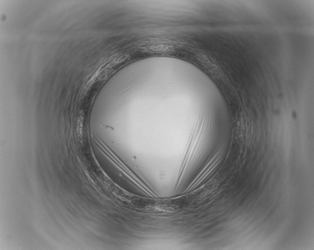 X0000052540739200507221425