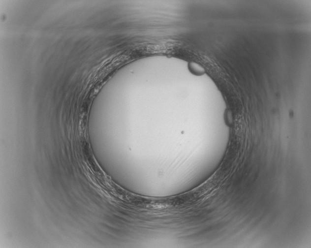 X0000052540741200507221425