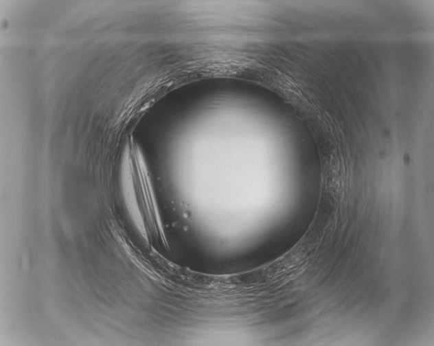 X0000052540742200507221425