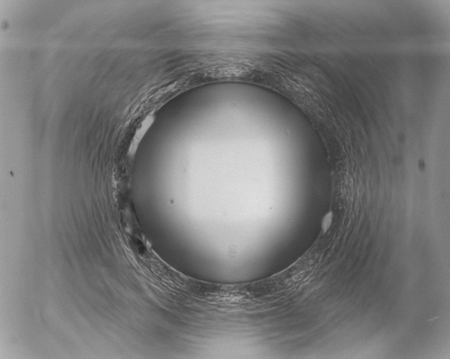 X0000052540743200507221425