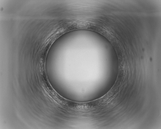 X0000052540744200507221425