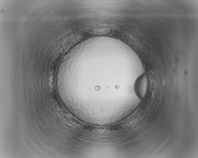 X0000052540745200507221425