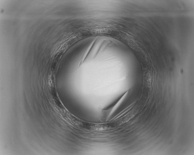 X0000052540746200507221425