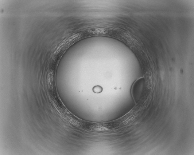 X0000052540747200507221425