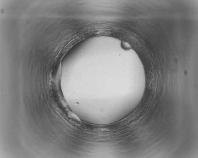 X0000052540748200507221425