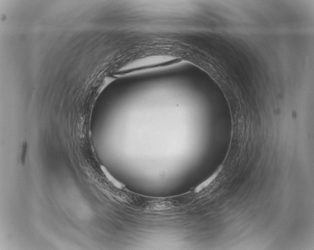 X0000052540750200507221425