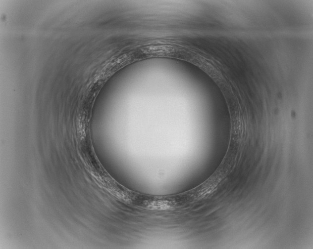 X0000052540751200507221425