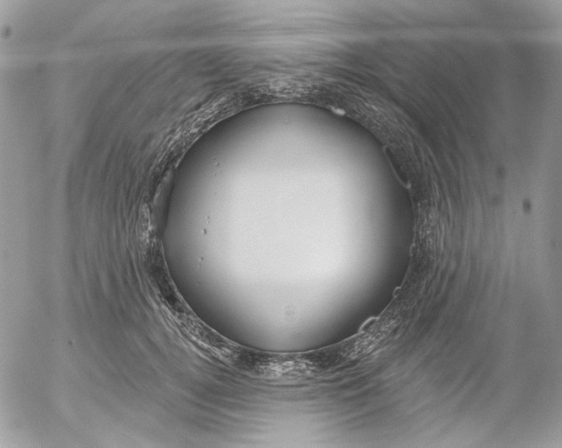 X0000052540752200507221425