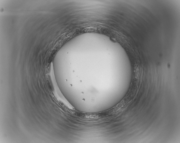 X0000052540753200507221425