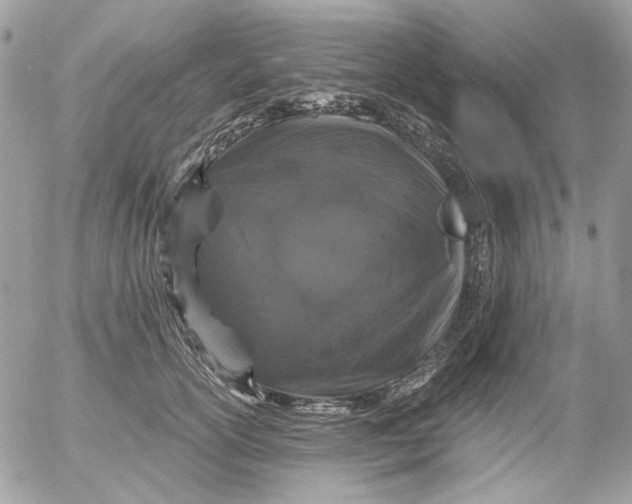 X0000052540754200507221425