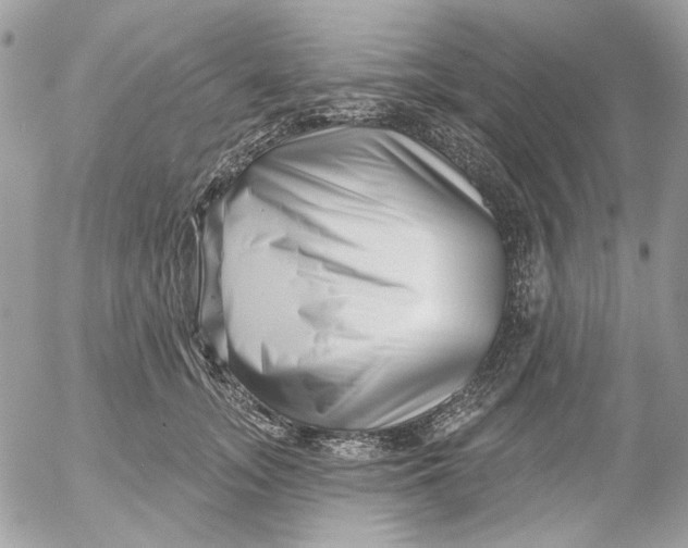 X0000052540755200507221425