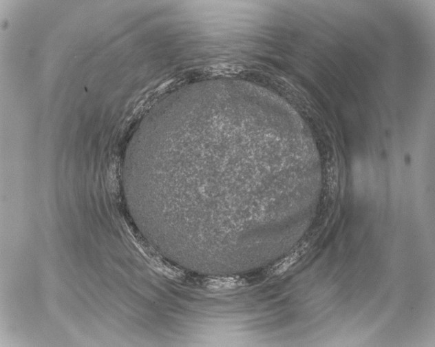 X0000052540757200507221425