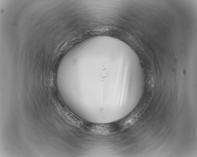 X0000052540758200507221425