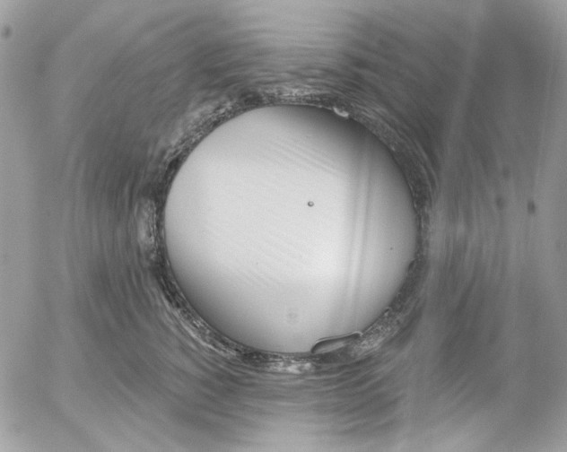 X0000052540760200507221425