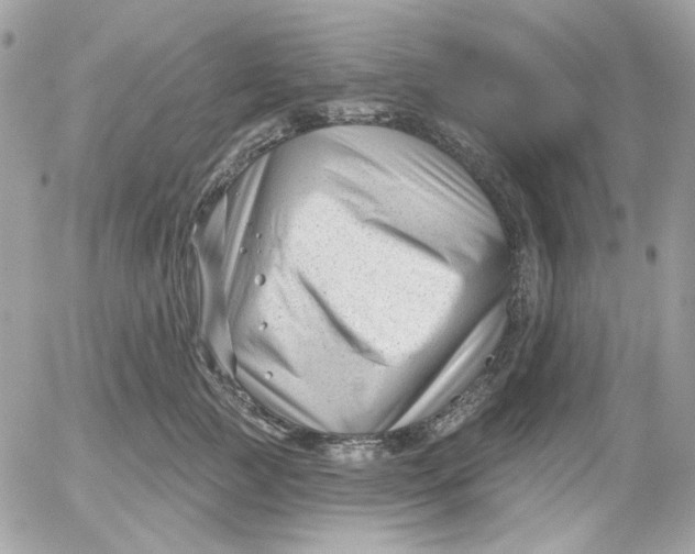 X0000052540761200507221425