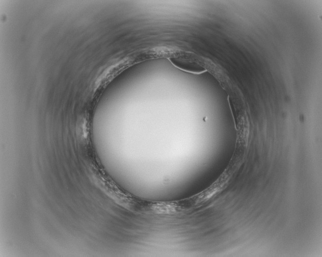 X0000052540762200507221425