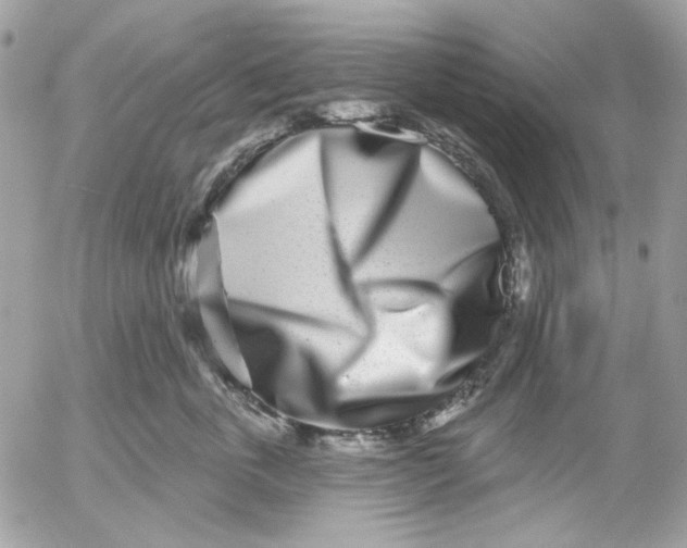 X0000052540763200507221425