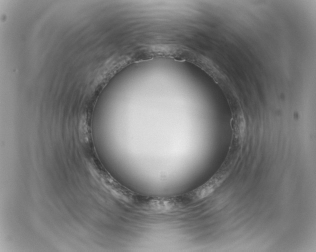 X0000052540764200507221425