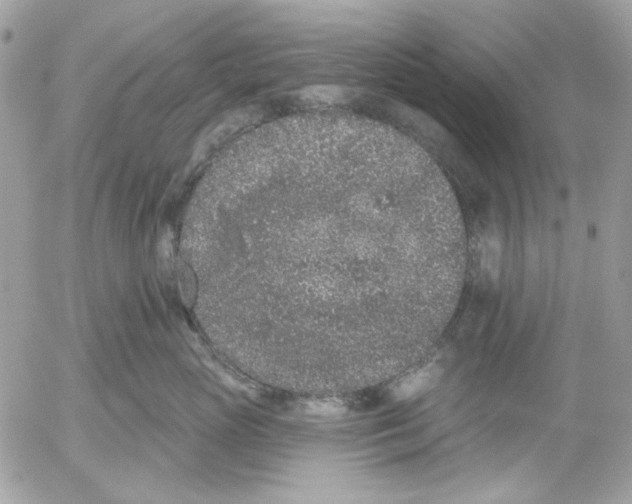 X0000052540765200507221425