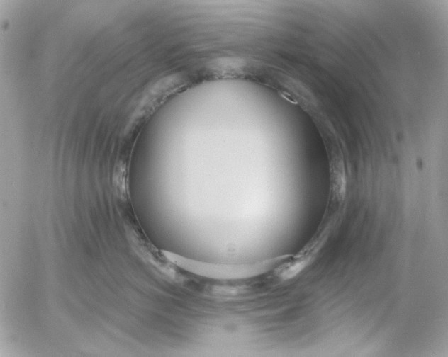 X0000052540766200507221425