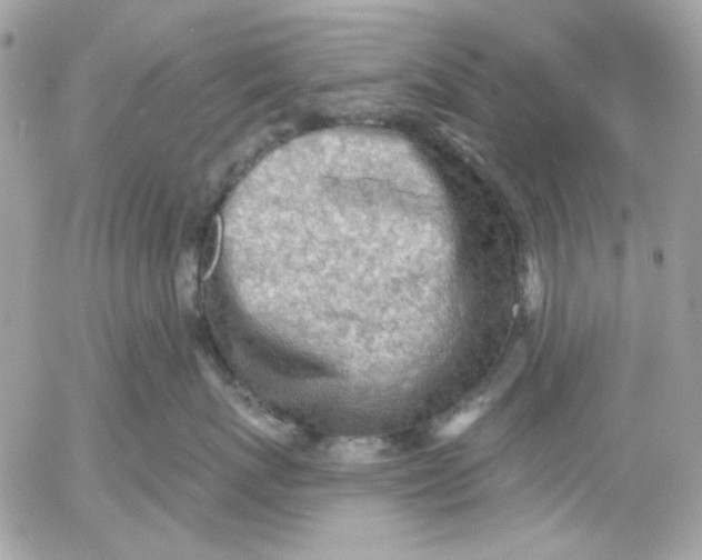 X0000052540767200507221425