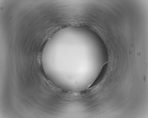 X0000052540768200507221425