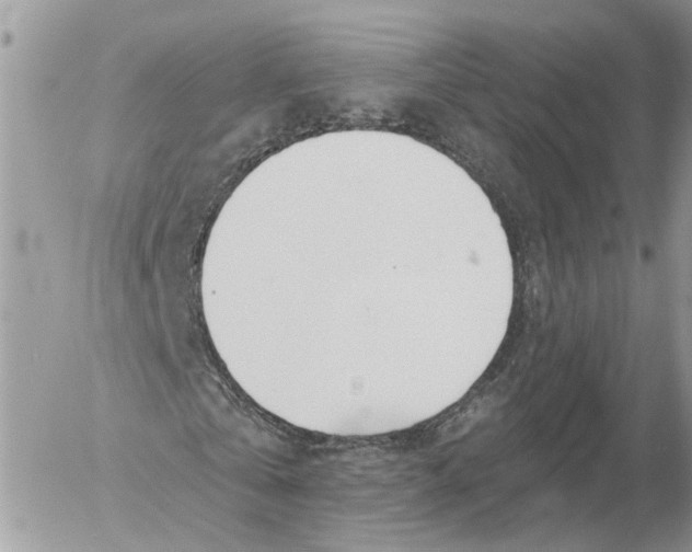 X0000052540769200507221425