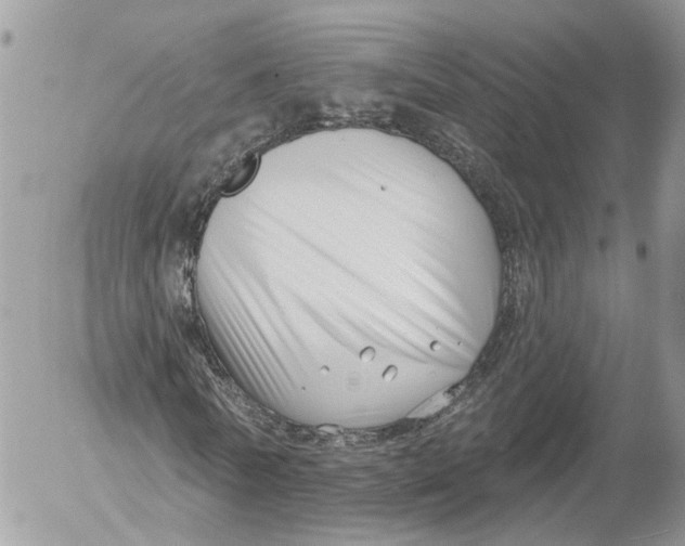 X0000052540770200507221425