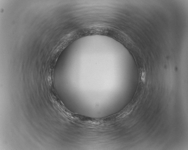 X0000052540771200507221425