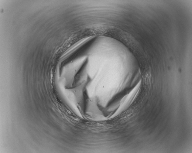 X0000052540772200507221425