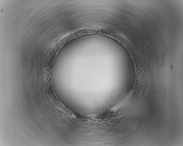 X0000052540773200507221425