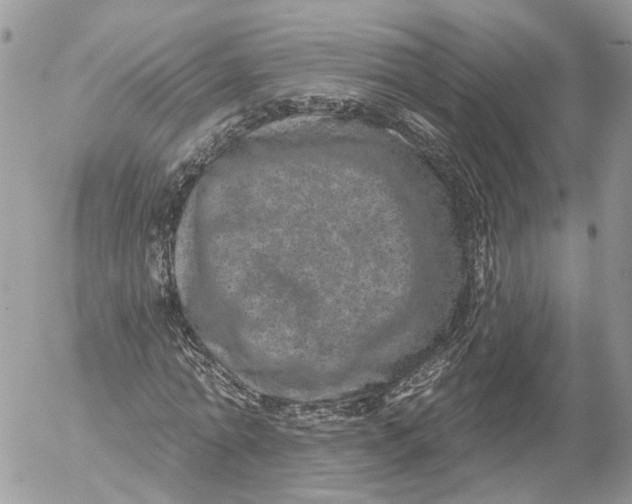 X0000052540774200507221425